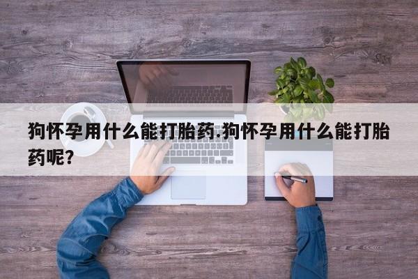 流产药叫什么名购买流程狗怀孕用什么能打胎药.狗怀孕用什么能打胎药呢？