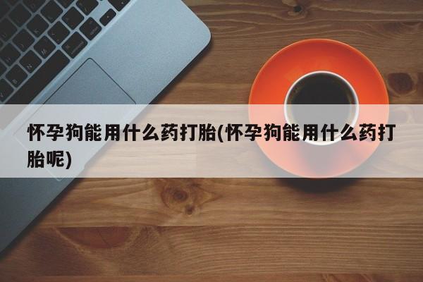 流产药叫什么名购买流程怀孕狗能用什么药打胎(怀孕狗能用什么药打胎呢)