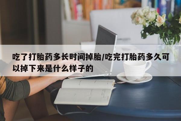 流产药叫什么名购买流程吃了打胎药多长时间掉胎/吃完打胎药多久可以掉下来是什么样子的